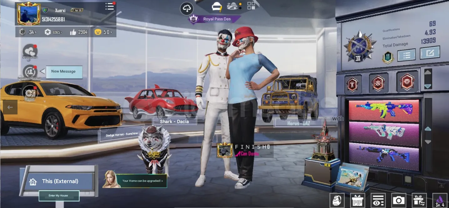 PGM577 M416 Roaring Immolation L6, Mythic Ice Ballet Set, MG3 Dragon L5, Cat+Dog Pets, Legendary Dacia (G)